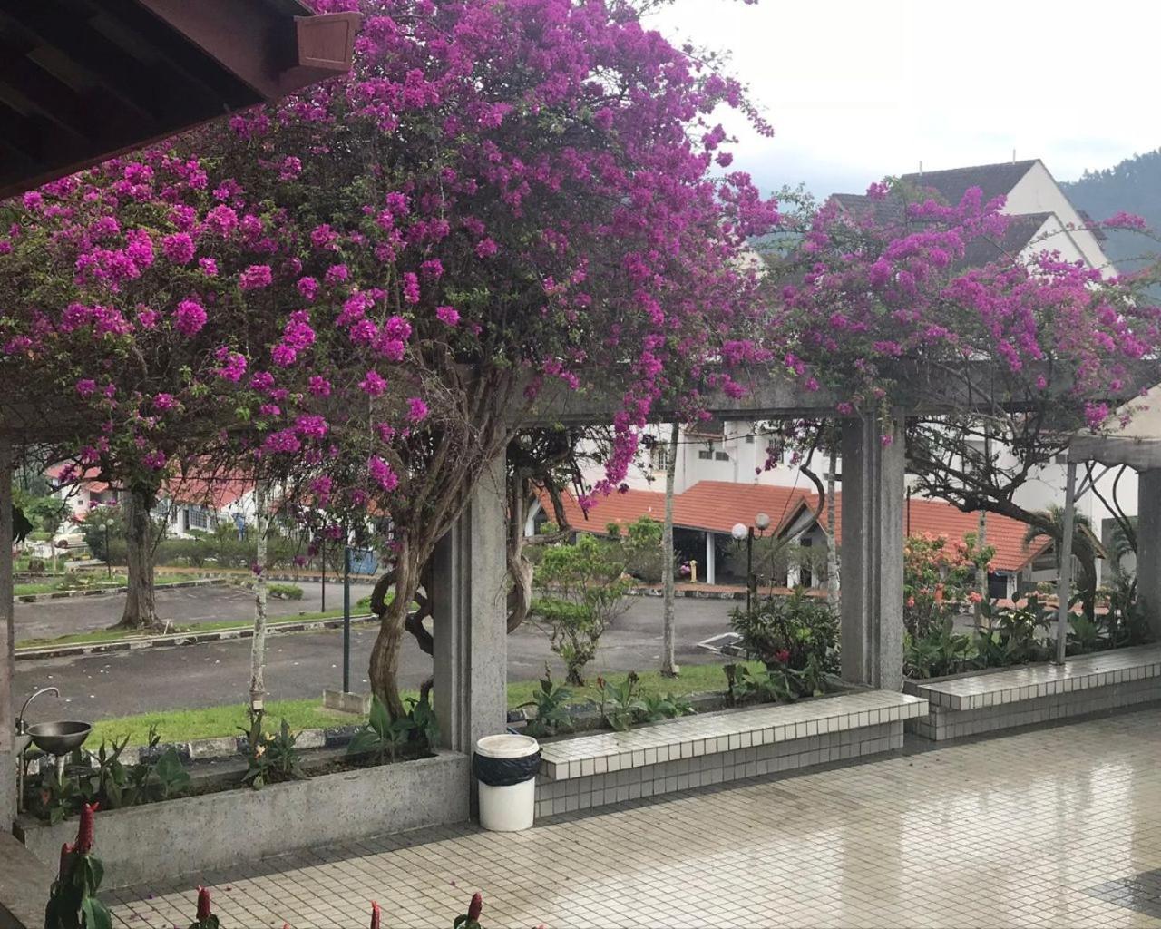 Thatniceplace In Selesa Hillhome, Bukit Tinggi, Bentong, Genting Exterior foto